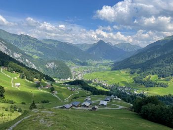 {{brizy_dc_image_alt entityId=